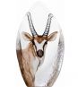 Antelope - Click for more Info
